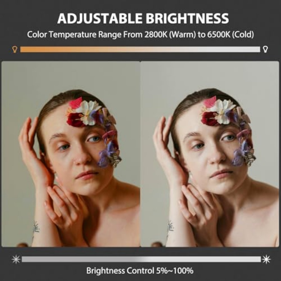 60W COB LED-Videoleuchte, trag – Photography Lighting Studio Bewertung und Preis