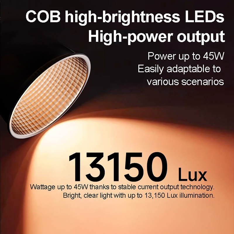 60W RGB Videoleuchte Tragbares – Photography Lighting And Background Bewertung und Preis